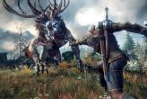 The Witcher 3: Wild Hunt (PC)